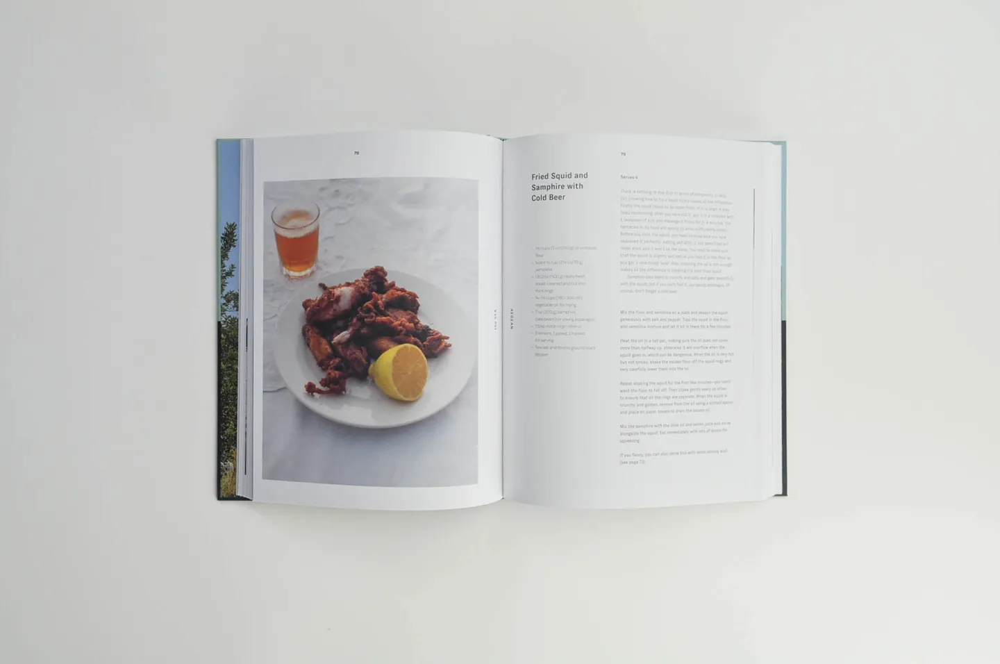 Aegean, photograph 2 of the printed book
