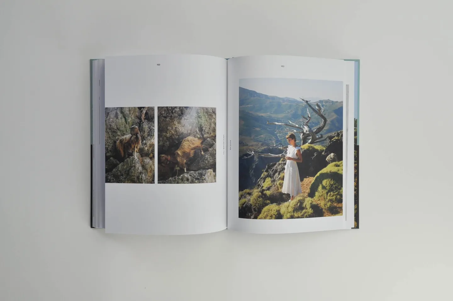 Aegean, photograph 8 of the printed book