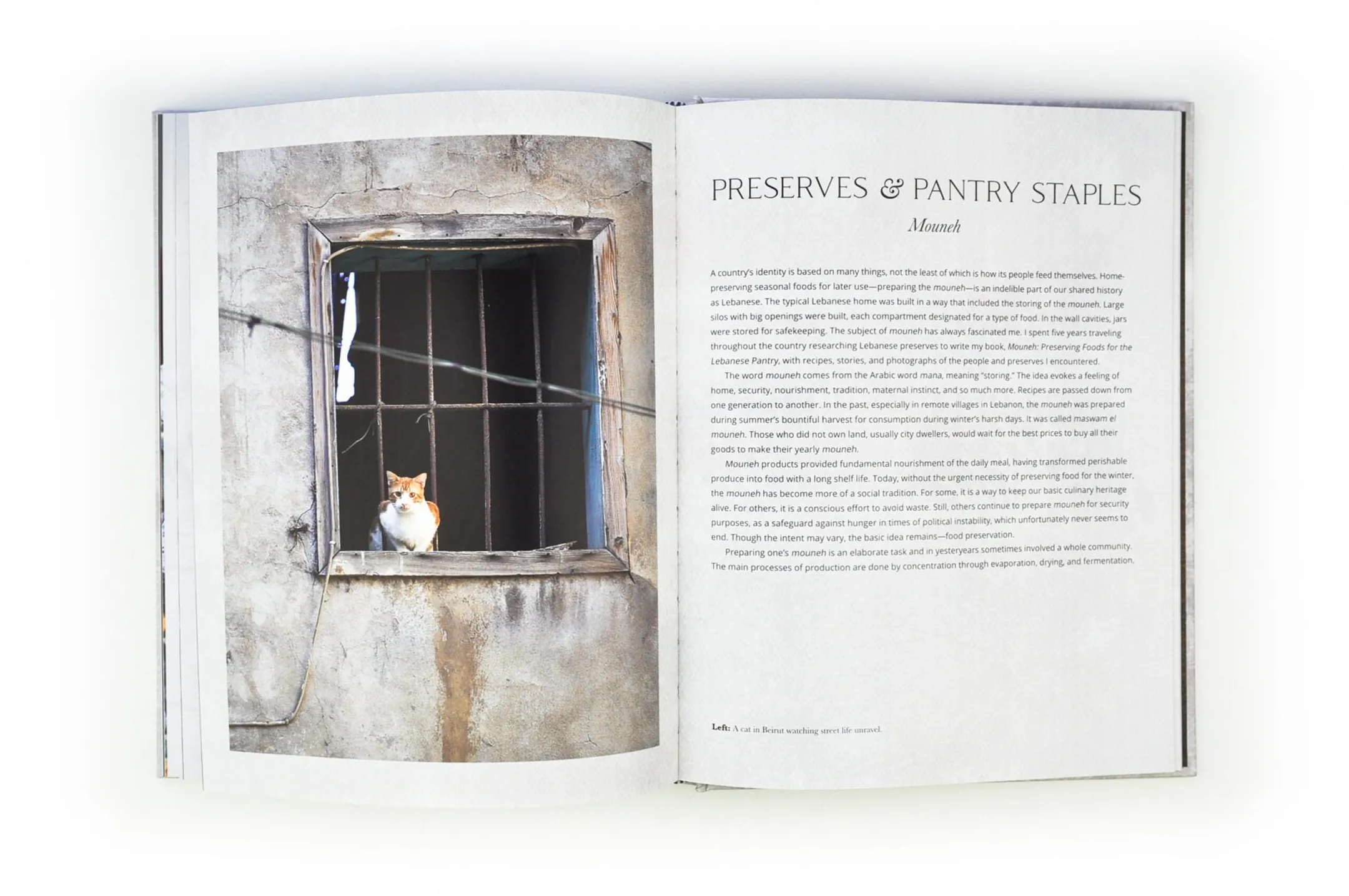 Forever Beirut, photograph 13 of the printed book