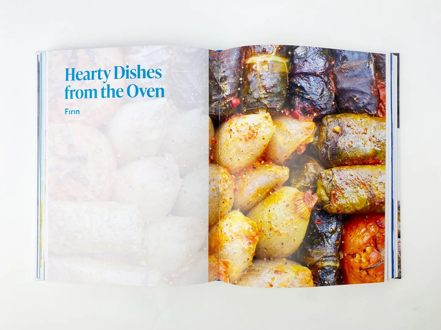 Meliz's Kitchen, photograph 7 of the printed book